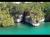 MEXICO, Xel-Ha - close to tulum, beautiful site where the river mixes with the caribbean sea. you see a river, this is not the sea!.