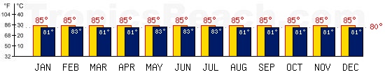Fongafale, TUVALU temperatures. A minimum temperature of 81F C is recommended for the beach!