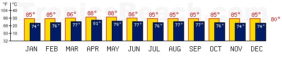 Male, MALDIVES temperatures. A minimum temperature of 81F C is recommended for the beach!