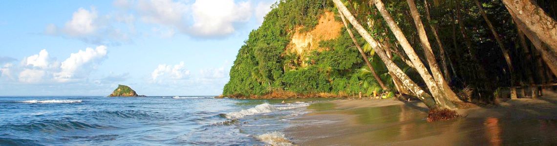 Beautiful beaches from DOMINICA
