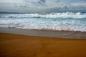 Australia's brown sand beach