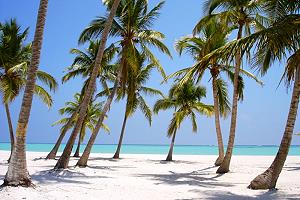 White sand beach in the Dominican Republic