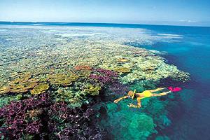 Maldives - A channel with coral reef