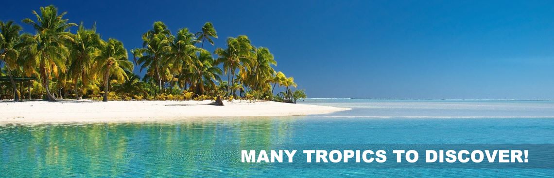 Travel in the tropics and beach holidays