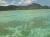 mauritius beach at Giant clam benitier