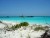 bahamas beach at Bahamas - Great Exuma