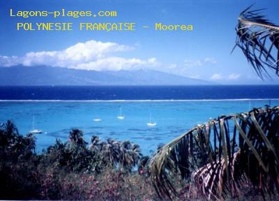 Moorea, FRENCH POLYNESIA Beach