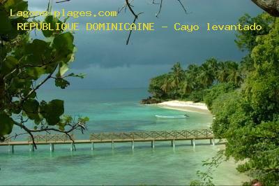 Cayo levantado, DOMINICAN REPUBLIC Beach