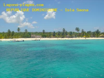 Isla Saona, DOMINICAN REPUBLIC Beach