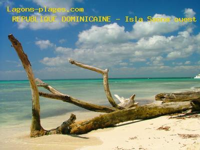 Isla Saona West, DOMINICAN REPUBLIC Beach