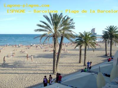 Barcelona -. Barceloneta beach, SPAIN Beach