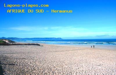 Hermanus, SOUTH AFRICA Beach