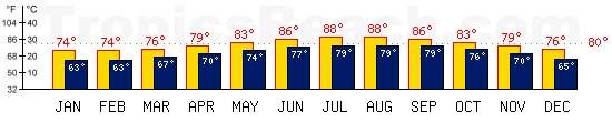 Miami, USA temperatures. A minimum temperature of 81°F C is recommended for the beach!